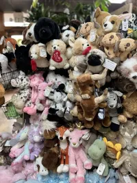 Plush Animals