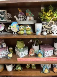 Birds and Insects