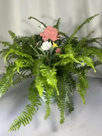 kimberly queen fern