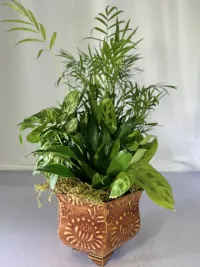 Timeless Harmony Garden