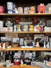 Pet Items