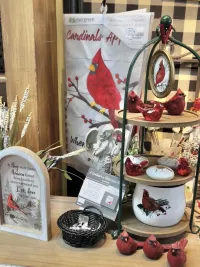 Cardinals