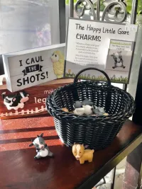 Trinkets 