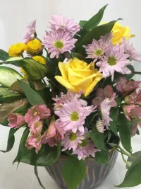 potted Plant with flowers