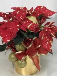 Christmas Green and Blooming Plants