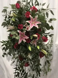 fairy wings