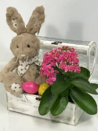 bunny treats
