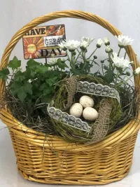 Green and Blooming Plants