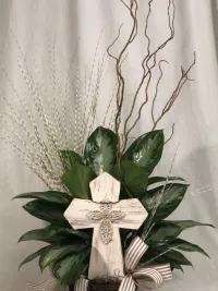 Dieffenbachia potted plant