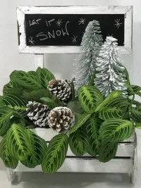 Let it Snow