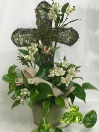 Pothos Ivy with cross