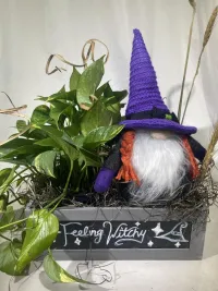 Feeling Witchy