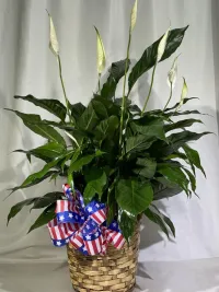 let freedom ring