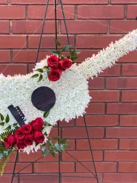 guitar