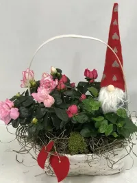 Azalea and english ivy