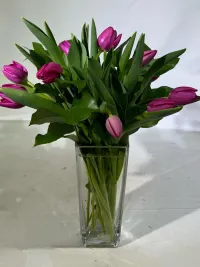 10 tulips