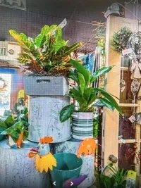 Inside Lilygrass flowers and decor Store  