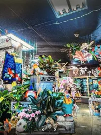 Inside Lilygrass flowers and decor Store  