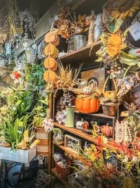 Inside Lilygrass flowers and decor Store  