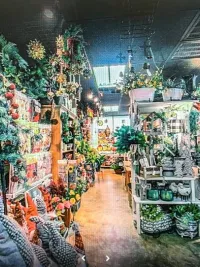 Inside Lilygrass flowers and decor Store  