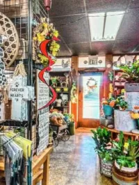 Inside Lilygrass flowers and decor Store