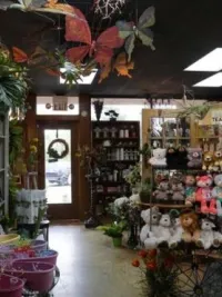 Inside Lilygrass flowers and decor Store