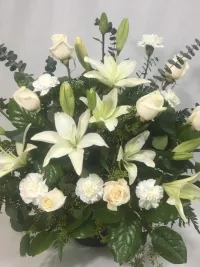 Loving Blooms