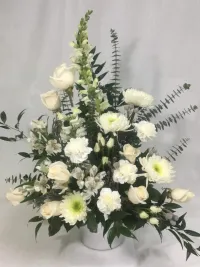 Purity