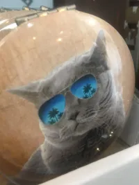 cat movie star compact mirror