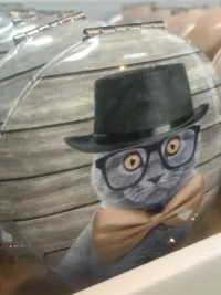 cat movie star compact mirror