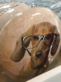 dog movie star compact mirror