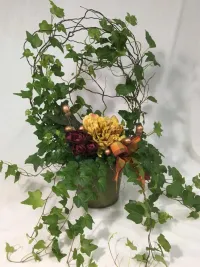 English Ivy