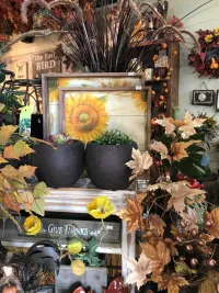 fall