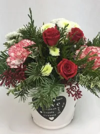 mistletoe