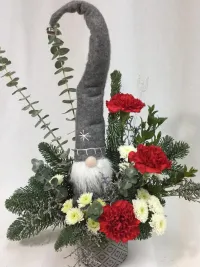 gnome forest