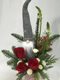 christmas gnome
