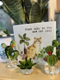 sample of cat and dog gift items