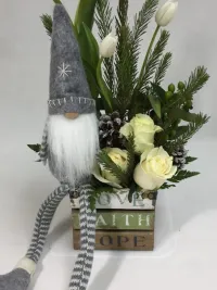 elf on the shelf
