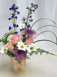 blue winds