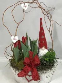 tulip and english ivy