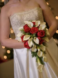 christmas "I do"
