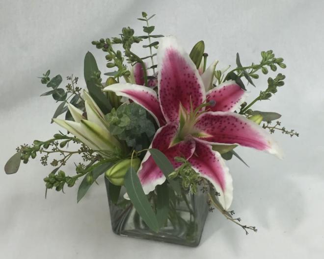 Flower Spotlight Oriental Stargazer Lily Lilygrass