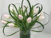 Flower Spotlight: Tulips