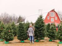 Oklahoma Christmas Tree Farm