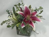 Flower spotlight: Oriental stargazer lily