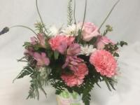 Flower spotlight: carnations