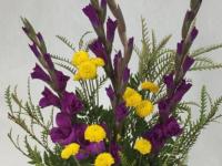 Flower spotlight: gladiolus