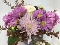 Flower spotlight: chrysanthemums 