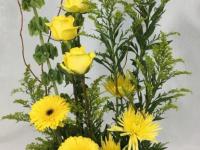 Flower spotlight: Goldenrod (Yellow Solidago)