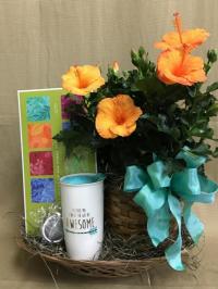 Potted Plant with Gift items